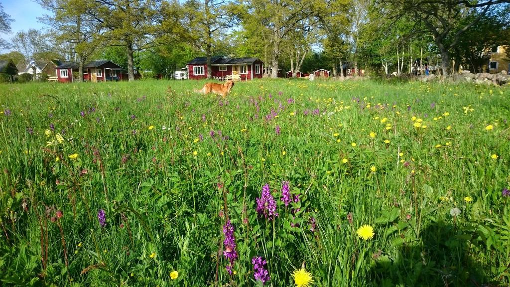 Stf Hagaby/Lantgarden Hostel Löttorp 외부 사진