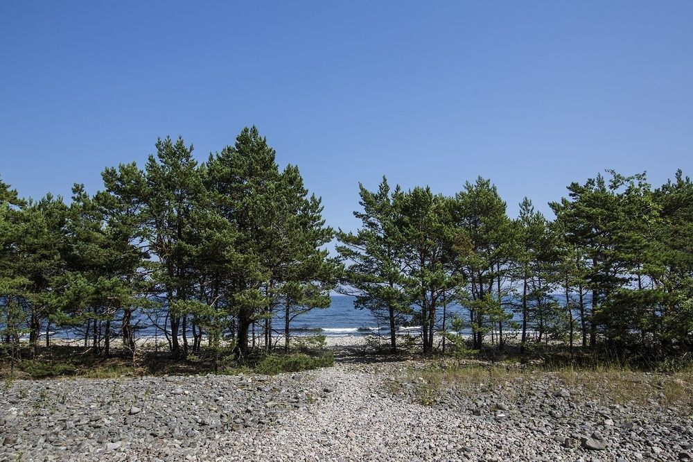 Stf Hagaby/Lantgarden Hostel Löttorp 외부 사진